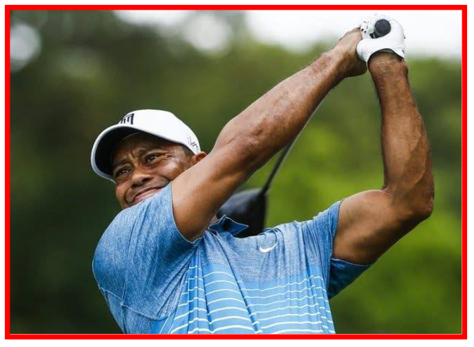 Tiger Woods Withdraws from Genesis Invitational Due to Illness